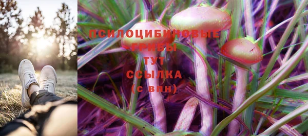 MDMA Аркадак
